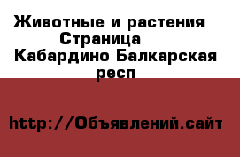  Животные и растения - Страница 18 . Кабардино-Балкарская респ.